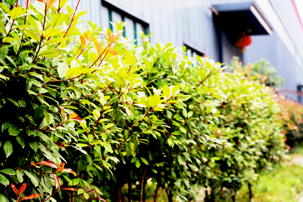 天然居硅藻泥第22期營銷培訓圓滿結業