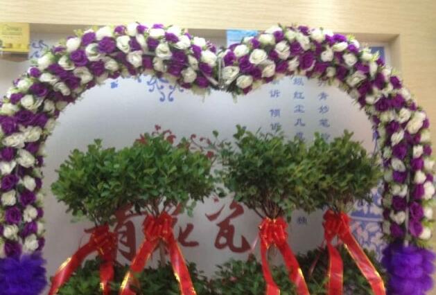 天然居硅藻泥·懷化體驗店正式開業 當日接單高達十萬盛況空前